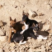 Enlarge photo 32
