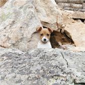 Enlarge photo 125