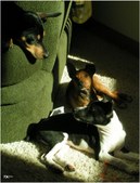 Enlarge photo 48