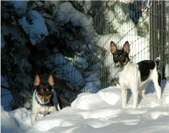 Enlarge photo 72