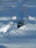 Enlarge photo 73