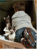 Enlarge photo 8