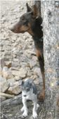 Enlarge photo 173