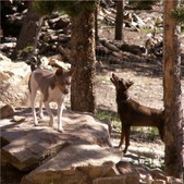 Enlarge photo 27