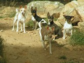 Enlarge photo 61