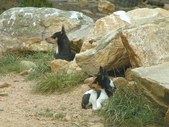 Enlarge photo 64