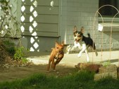 Enlarge photo 40