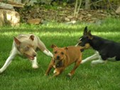 Enlarge photo 38
