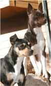 Enlarge photo 140