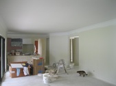 Enlarge photo 391