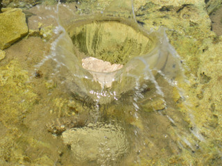 perfect water splash