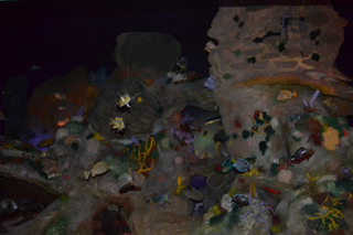 low light 1