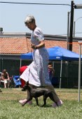 Enlarge photo 29