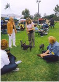 Enlarge photo 16