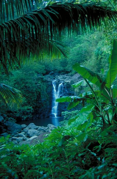 Hidden Waterfall on Road to Hana - Maui, Hawaii