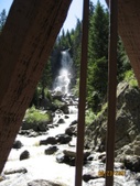 Enlarge photo 40