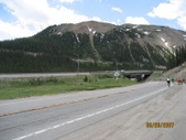 Enlarge photo 71
