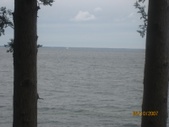 Enlarge photo 77