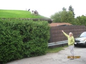 Enlarge photo 90