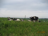 Enlarge photo 37
