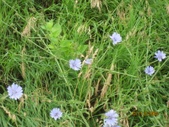 Enlarge photo 38
