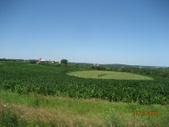 Enlarge photo 41