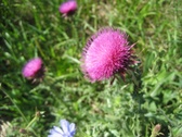 Enlarge photo 43