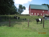 Enlarge photo 54