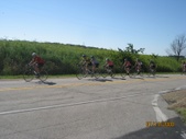 Enlarge photo 59