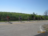 Enlarge photo 64