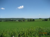 Enlarge photo 78