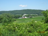 Enlarge photo 83