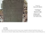 Enlarge photo 30