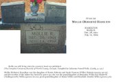 Enlarge photo 35