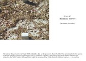 Enlarge photo 43
