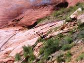 Enlarge photo 19