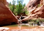 Enlarge photo 24