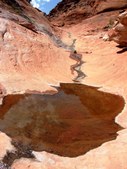 Enlarge photo 44
