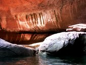 Enlarge photo 37