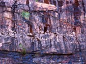 Enlarge photo 38