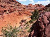 Enlarge photo 39