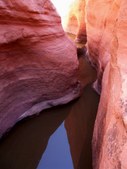 Enlarge photo 42