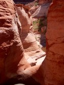 Enlarge photo 43
