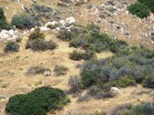 Olive Dell Long Hike