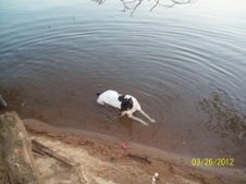 Enlarge photo 8
