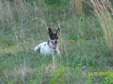 Enlarge photo 6
