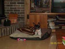 Enlarge photo 3