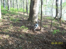 Enlarge photo 14
