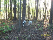 Enlarge photo 15