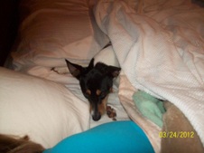 Enlarge photo 4